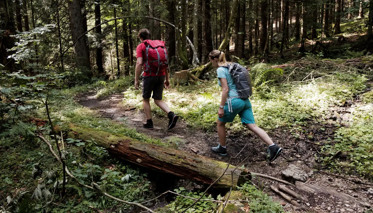 Zwei Wanderer auf dem Weg durch einen Wald | © DAV/Hans Herbig
