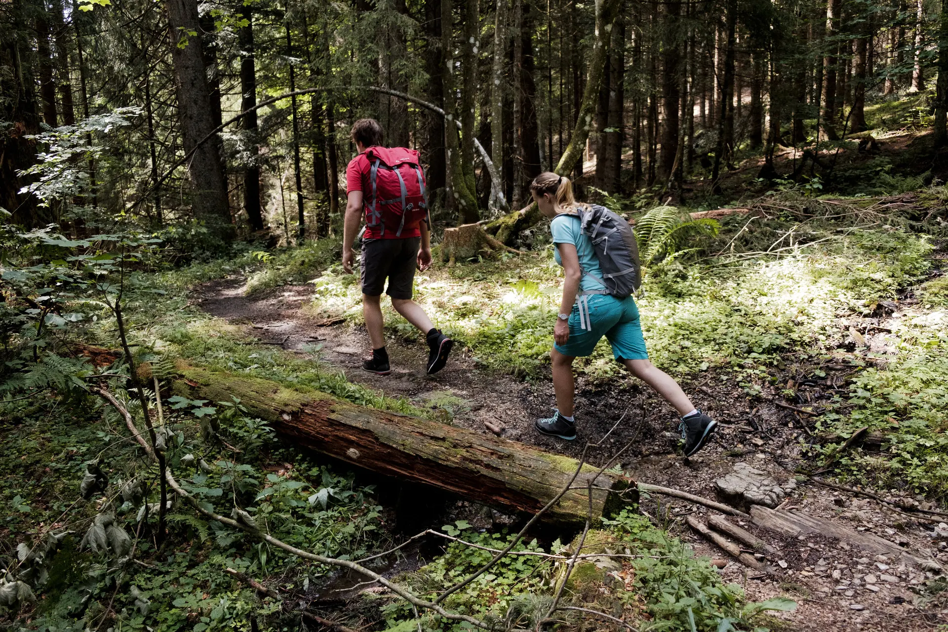 Zwei Wanderer auf dem Weg durch einen Wald | © DAV/Hans Herbig
